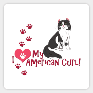 I Love My American Curl Cat Magnet